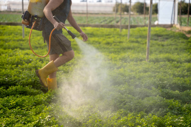 Reliable Whidbey Island Station, WA Pest Control Solutions